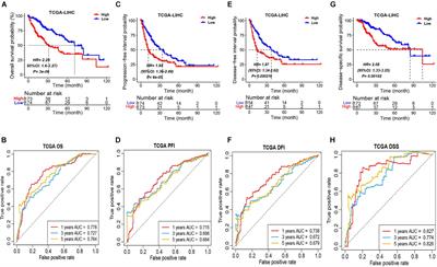 Construction and Validation of an Immune Cell Signature Score to Evaluate Prognosis and Therapeutic Efficacy in Hepatocellular Carcinoma